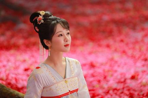 娱乐大爆料杨紫风月锦囊,揭秘明星背后的情感故事